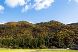 里山