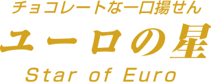 ヨーロッパな一口揚せん　ユーロの星