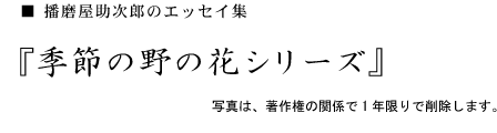 播磨屋助次郎のエッセイ集　季節の野の花シリーズ