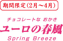 期間限定チョコレートなおかきユーロの春風